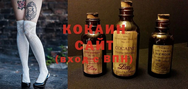 прущая мука Ельня