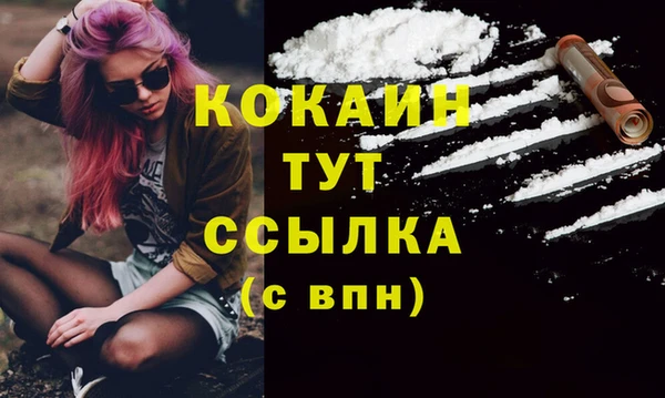 прущая мука Ельня