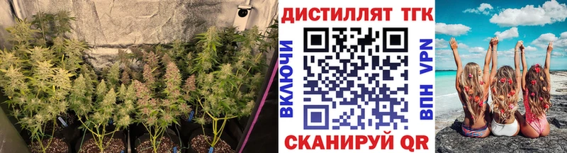 ТГК вейп с тгк  Купить где  Миньяр 